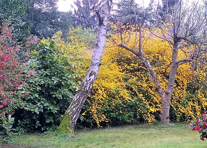 شقة La Casa Di Mariu *