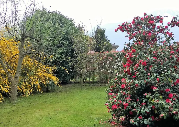 شقة La Casa Di Mariu ديرفيو